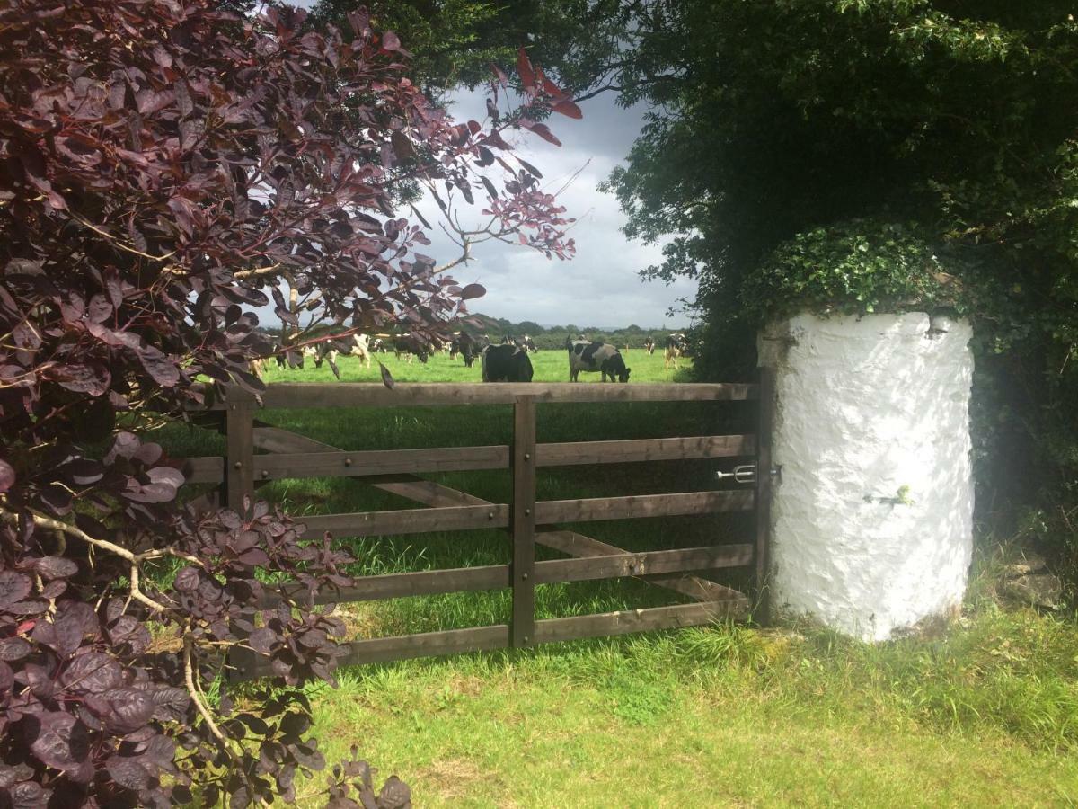Tralia Farmhouse Self Catering Farranfore Eksteriør billede